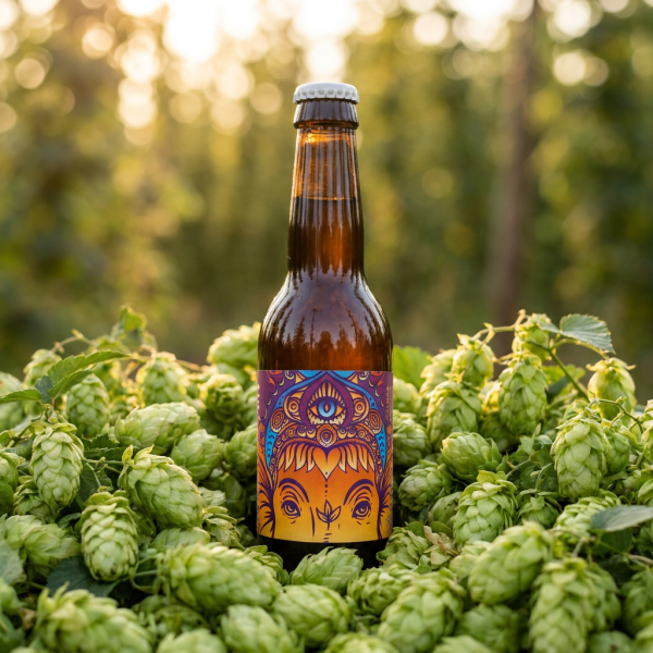IPA – Bière paysanne Bio